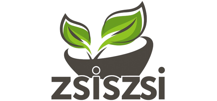zsiszsi.com